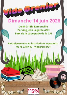 Vide Grenier.jpg